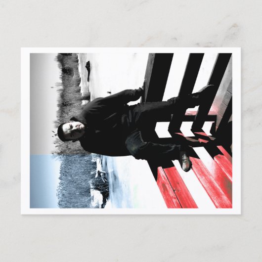 Approachable Wolf Post Card Print Briefkaart (Voorkant)