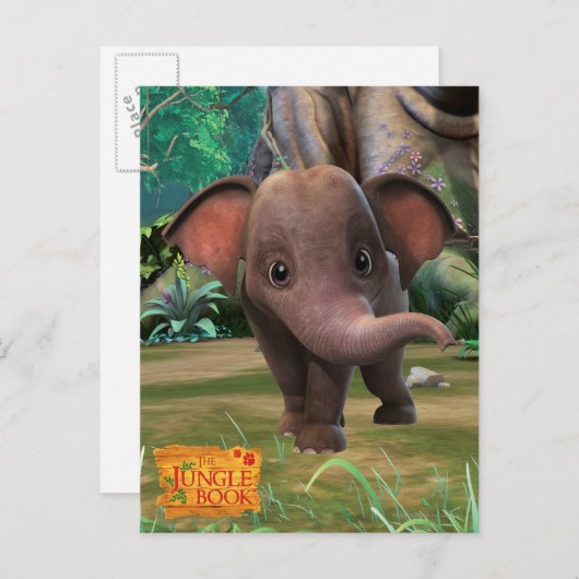 Appu Briefkaart (Voorkant / Achterkant)