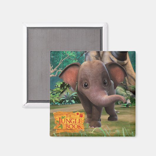 Appu Magneet (Voorkant / Achterkant)