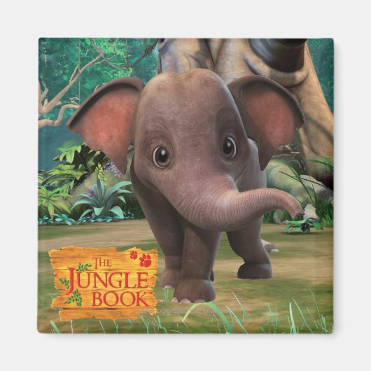 Appu Magneet (Voorkant)