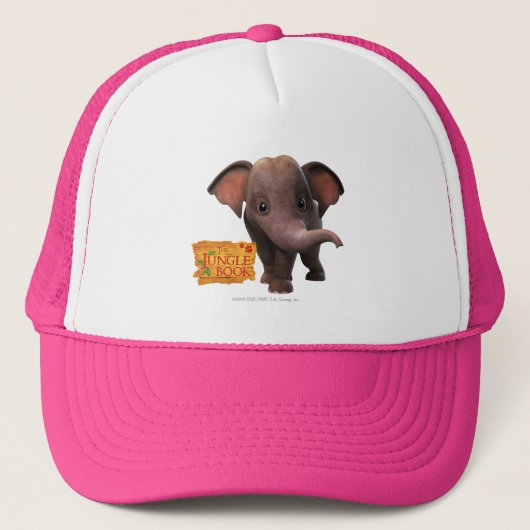 Appu Trucker Pet (Voorkant)
