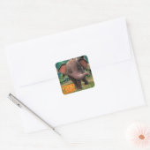Appu Vierkante Sticker (Envelop)