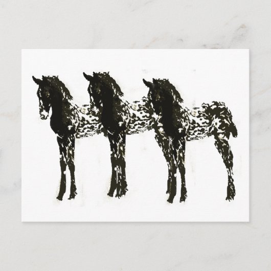 Appy Colts Briefkaart (Voorkant)