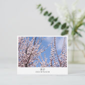 Apricot Blossom Briefkaart (Staand voorkant)
