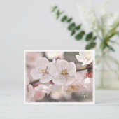 Apricot Briefkaart (Staand voorkant)