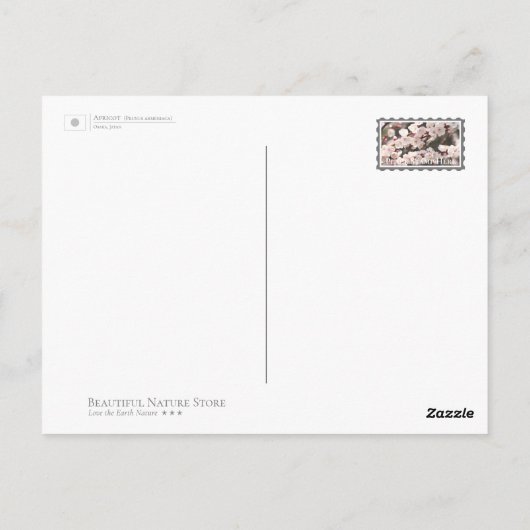 Apricot Briefkaart (Achterkant)