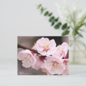 Apricot：Postcard Briefkaart (Staand voorkant)
