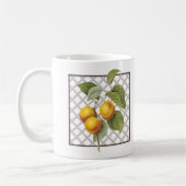 APRICOTEN KOFFIEMOK (Links)