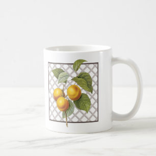 APRICOTEN KOFFIEMOK