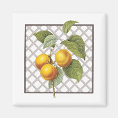 APRICOTEN MAGNEET (Voorkant)