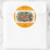 APRICOTEN RONDE STICKER (Tas)