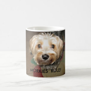 APRIL 14. 2008 043, MORKIES RULE! KOFFIEMOK