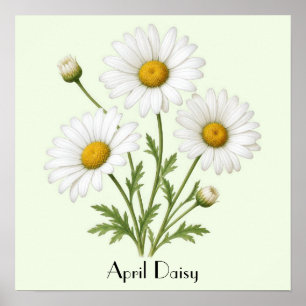 April Daisy Flowers Poster