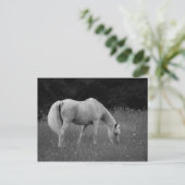 April de Arabier Briefkaart (Staand voorkant)