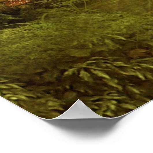 april - douches poster (Hoek)