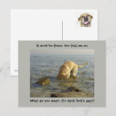 April dwaas dag - Goofy Labrador Briefkaart (Voorkant / Achterkant)