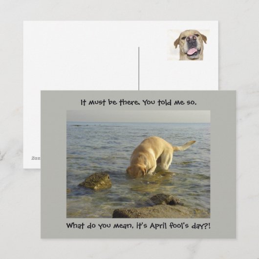 April dwaas dag - Goofy Labrador Briefkaart (Voorkant / Achterkant)