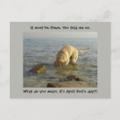 April dwaas dag - Goofy Labrador Briefkaart (Voorkant)