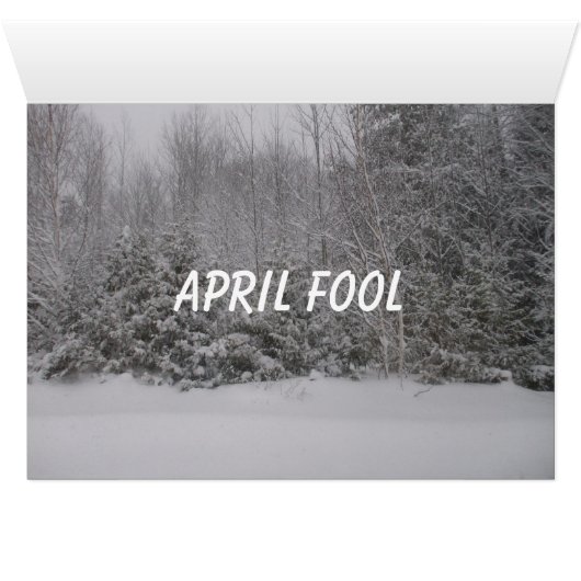 April Fool's Day Flowers and Trees Lawn Scene (Binenzijde Horizontaal (Onderkant))