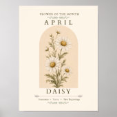 April Geboortebloem Madeliefje Poster (Voorkant)