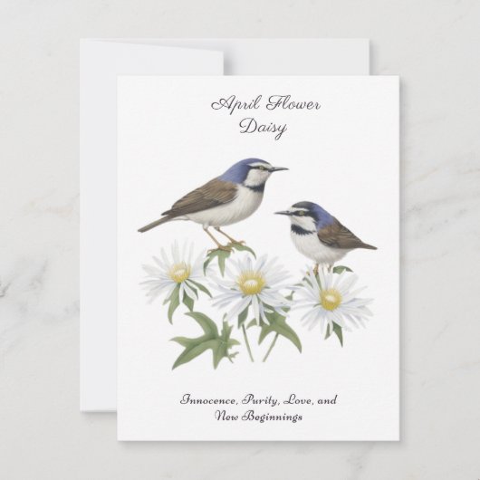 April Geboortemaand Bloem Daisy gekoesterde verjaa (Voorkant)