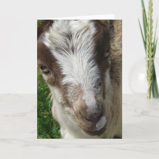 April het Kind La Mancha Nanny Kaart (Voorkant)