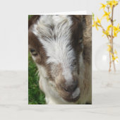 April het Kind La Mancha Nanny Kaart (Gele Bloem)