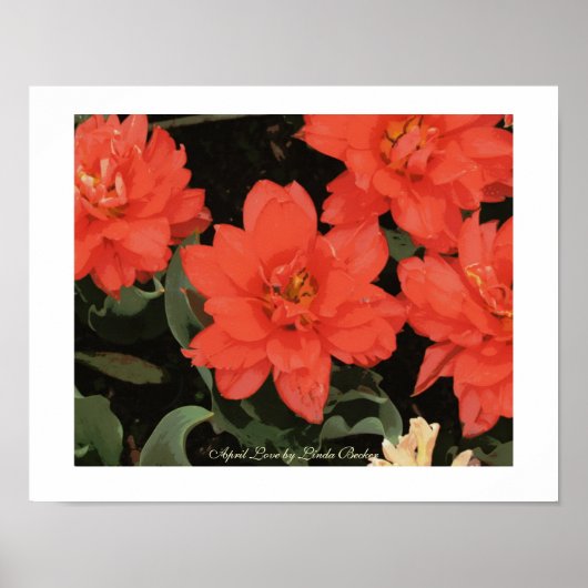 April Love by Linda Becker Poster (Voorkant)