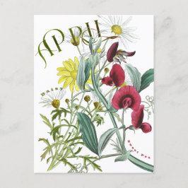 April Maand Bloemen Sweet Pea Daisy Fancy Briefkaart