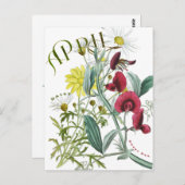 April Maand Bloemen Sweet Pea Daisy Fancy Briefkaart (Voorkant / Achterkant)