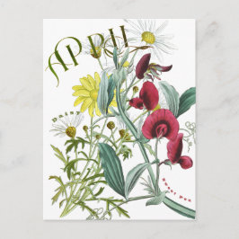 April Maand Bloemen Sweet Pea Daisy Fancy Briefkaart