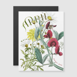 April Month Flowers Sweet Pea Daisy Fancy