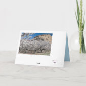 April Peach Blossom Photo Birthday Sjabloon Kaart (Achterkant)