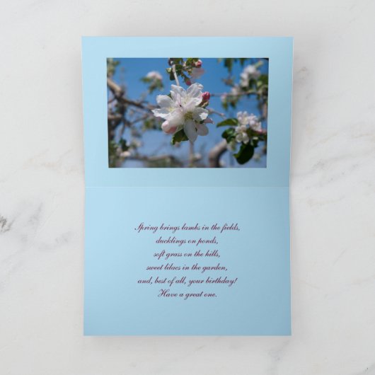 April Peach Blossom Photo Birthday Sjabloon Kaart (Binnen)