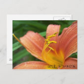 April Showers Briefkaart (Voorkant / Achterkant)