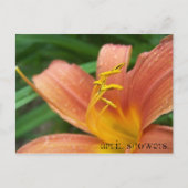 April Showers Briefkaart (Voorkant)