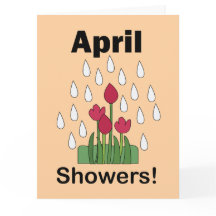 April Showers Pink Daisy Flower Floral