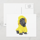 April Showers Schotse Terrier Briefkaart (Voorkant / Achterkant)