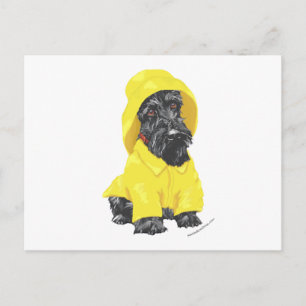 April Showers Schotse Terrier Briefkaart