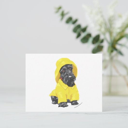 April Showers Scottish Terrier Briefkaart (Staand voorkant)