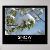 April Snow Demotivational Poster (Voorkant)