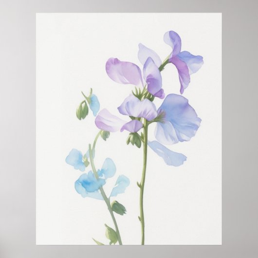 April Sweet Pea Birth Flower Poster (Voorkant)