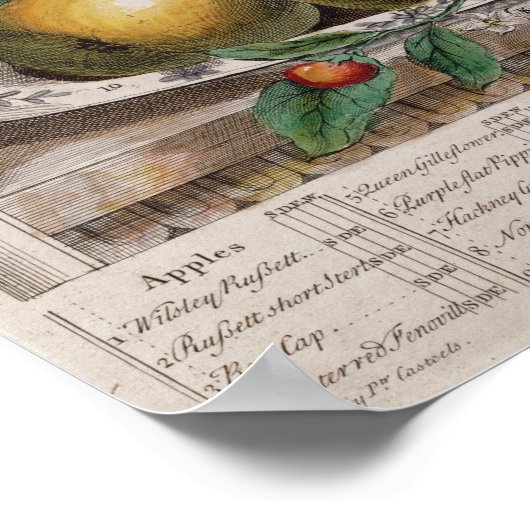 April, 'Twaalf maanden fruit' Poster (Hoek)