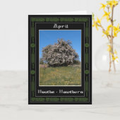 April Verjaardag Keltische Oracle Divination Kaart (Gele Bloem)