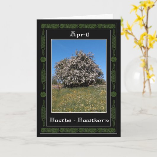 April Verjaardag Keltische Oracle Divination Kaart (Gele Bloem)