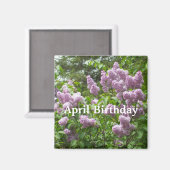 April Verjaardag-Mooie Lila Struik Magneet (Voorkant / Achterkant)