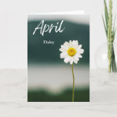 April Witte Daisy Geboorte Maand Bloem Verjaardag Kaart (Voorkant)