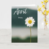 April Witte Daisy Geboorte Maand Bloem Verjaardag Kaart (Gele Bloem)