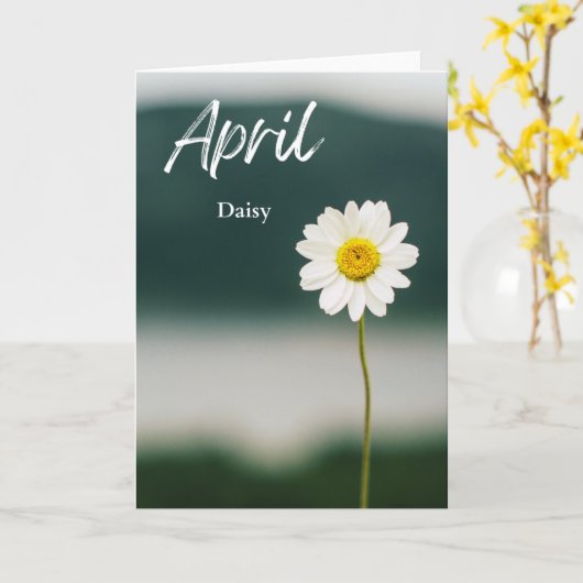 April Witte Daisy Geboorte Maand Bloem Verjaardag Kaart (Gele Bloem)