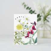 Aprilmaand bloemen Lathyrus en Madeliefje Briefkaart (Staand voorkant)